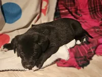 processed/b061dafd-19c4-4a4d-9ff3-c988b5916998/listing/fc1cb042-4a0a-46b5-aeb6-281f339ca819/80e80184-b439-4f55-9f1f-81392e541070