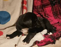 processed/b061dafd-19c4-4a4d-9ff3-c988b5916998/listing/fc1cb042-4a0a-46b5-aeb6-281f339ca819/8e576286-f83e-4032-b7c7-008fb9fc94cc