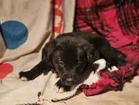 processed/b061dafd-19c4-4a4d-9ff3-c988b5916998/listing/fc1cb042-4a0a-46b5-aeb6-281f339ca819/ae960dc0-c4d3-471c-8996-0abcfbe09670