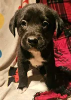 processed/b061dafd-19c4-4a4d-9ff3-c988b5916998/listing/fc1cb042-4a0a-46b5-aeb6-281f339ca819/d2b3558b-9615-430f-8c83-eaf9a283358b