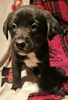 processed/b061dafd-19c4-4a4d-9ff3-c988b5916998/listing/fc1cb042-4a0a-46b5-aeb6-281f339ca819/f40ee8ec-13a5-4e00-a628-33b1b6591a14