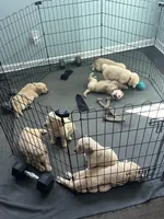 Facility photo