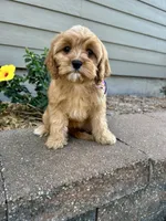 processed/b06cb1d3-5c8d-41cb-aeca-86df33a4ce3f/facility/245ce6fc-8ec8-4b11-a961-72904f25f313