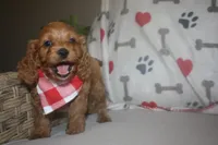 processed/b06cb1d3-5c8d-41cb-aeca-86df33a4ce3f/facility/82f8220c-2d62-45db-bb16-4272848f2e6e