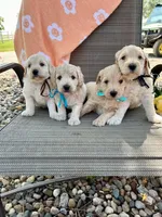 processed/b06cb1d3-5c8d-41cb-aeca-86df33a4ce3f/facility/c34d1629-6448-469a-8243-7348214487e8