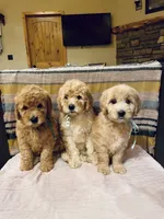 processed/b06cb1d3-5c8d-41cb-aeca-86df33a4ce3f/facility/cceb271f-5495-4b23-b699-07f5b915b514