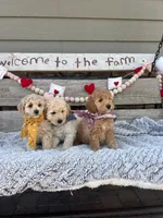 processed/b06cb1d3-5c8d-41cb-aeca-86df33a4ce3f/facility/ef4aafd7-805b-402f-9f88-d8fe6e7a3b3c