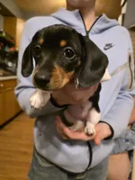 processed/b077e029-45ae-4265-8990-d4181ff7711c/listing/51788fd4-8972-4a5f-8e99-8435aa7a245d/35698d1b-311a-43eb-b687-da45595ee2e9