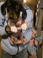 processed/b077e029-45ae-4265-8990-d4181ff7711c/listing/51788fd4-8972-4a5f-8e99-8435aa7a245d/466f3f63-1736-4415-8af4-85ed80e63a11