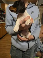 processed/b077e029-45ae-4265-8990-d4181ff7711c/listing/51788fd4-8972-4a5f-8e99-8435aa7a245d/a3810017-2b0b-4469-8ab8-fd9a23d037af