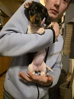 processed/b077e029-45ae-4265-8990-d4181ff7711c/listing/51788fd4-8972-4a5f-8e99-8435aa7a245d/b1f380bb-73f2-4090-958e-27e02075060c