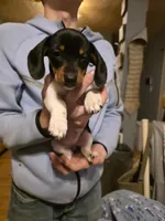 processed/b077e029-45ae-4265-8990-d4181ff7711c/listing/51788fd4-8972-4a5f-8e99-8435aa7a245d/ea9f8ae2-c3c0-42da-af74-eef18ede81f3