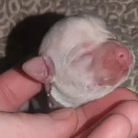 processed/b078724b-3fe9-4e0c-a54d-4fad9e8fd2e0/facility/655d131f-a26b-475f-8482-4a430684beb6