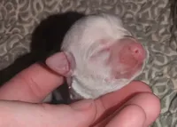 processed/b078724b-3fe9-4e0c-a54d-4fad9e8fd2e0/facility/655d131f-a26b-475f-8482-4a430684beb6