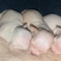 processed/b078724b-3fe9-4e0c-a54d-4fad9e8fd2e0/facility/90c6d5dd-b9ab-47a1-b081-305eabe892f6