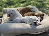 processed/b07ac01c-aeab-4ea7-bf4f-7e816d4661eb/facility/03e5068f-9216-41c4-bf85-99bc7496be18