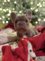 processed/b07ac01c-aeab-4ea7-bf4f-7e816d4661eb/facility/2c81c3e2-d38c-4939-9d09-9c36e6e93f6d