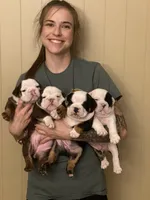 processed/b07ac01c-aeab-4ea7-bf4f-7e816d4661eb/facility/3be248bd-a23c-4841-acb7-14f6f0482ada