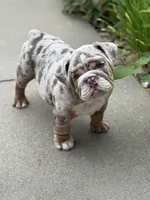 processed/b07ac01c-aeab-4ea7-bf4f-7e816d4661eb/facility/4fd72c6f-2ef1-43ee-b5c7-560b2d330a01