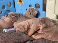 processed/b07ac01c-aeab-4ea7-bf4f-7e816d4661eb/facility/8b1f44d6-77b1-408f-93ca-761f60be7905