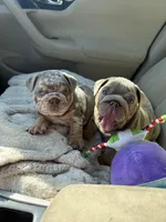 processed/b07ac01c-aeab-4ea7-bf4f-7e816d4661eb/facility/b45c2f88-c6dc-452a-ac75-3ced2b968e94