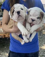 processed/b07ac01c-aeab-4ea7-bf4f-7e816d4661eb/facility/c48608cd-9434-4f74-a893-09cdb08d143b