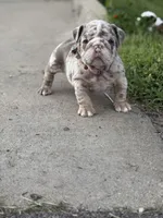 processed/b07ac01c-aeab-4ea7-bf4f-7e816d4661eb/facility/ebaed502-76c3-4301-8a26-f61389a94595