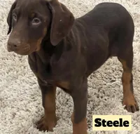 processed/b07b9073-5f59-4bd7-b2eb-edbaceed20a9/listing/7c01d8c9-b990-44d9-a914-7537647f9de4/2052e2ee-4f4d-47d2-8231-5431dd1d0269