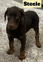 processed/b07b9073-5f59-4bd7-b2eb-edbaceed20a9/listing/7c01d8c9-b990-44d9-a914-7537647f9de4/648ef1b3-8a54-45cf-83a2-59462d9c1a12