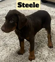 processed/b07b9073-5f59-4bd7-b2eb-edbaceed20a9/listing/7c01d8c9-b990-44d9-a914-7537647f9de4/84834f43-6ef0-4e3d-bd8b-02d9c6547a39