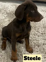 processed/b07b9073-5f59-4bd7-b2eb-edbaceed20a9/listing/7c01d8c9-b990-44d9-a914-7537647f9de4/f3b5f458-8656-4775-9177-a4fcba92cf50