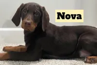 processed/b07b9073-5f59-4bd7-b2eb-edbaceed20a9/listing/b6da0f6f-5524-48e3-8448-d383c214cbda/3fb25df3-e9cf-41fe-8ca2-b95eef1cadcb