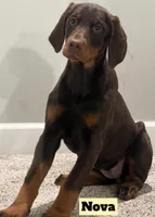 processed/b07b9073-5f59-4bd7-b2eb-edbaceed20a9/listing/b6da0f6f-5524-48e3-8448-d383c214cbda/618518e2-f655-4b37-9eef-835f6faf3161