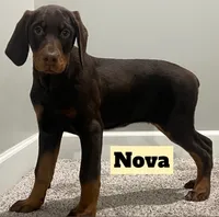 processed/b07b9073-5f59-4bd7-b2eb-edbaceed20a9/listing/b6da0f6f-5524-48e3-8448-d383c214cbda/667d29ed-ac8e-4443-a914-08621da36843