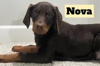 processed/b07b9073-5f59-4bd7-b2eb-edbaceed20a9/listing/b6da0f6f-5524-48e3-8448-d383c214cbda/9cd8d831-e804-4b49-b93a-351d3ef34525