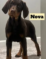 processed/b07b9073-5f59-4bd7-b2eb-edbaceed20a9/listing/b6da0f6f-5524-48e3-8448-d383c214cbda/a5325445-19ac-468e-b583-212c1a030386