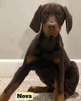 processed/b07b9073-5f59-4bd7-b2eb-edbaceed20a9/listing/b6da0f6f-5524-48e3-8448-d383c214cbda/b877dfa6-6877-418d-a998-91acfaf530ba