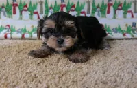 processed/b08519b2-f485-4ab0-8c3f-c07ba4e947b1/listing/43c9634e-086a-419b-ad0d-bf8d37ee26c0/662794e2-75f2-4619-80a6-3057f14ed72a