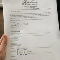 Pink, a female Rottweiler for sale in Davis, OK – Photo 10 of 10