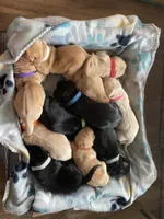 processed/b09bc342-25e2-4b97-985b-1f6e05dafde3/facility/2758c41f-df29-4fe0-87b8-adb3909115d9