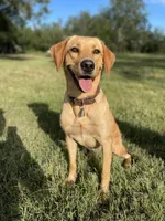 processed/b09bc342-25e2-4b97-985b-1f6e05dafde3/facility/b4f02b7d-21c2-4e10-88da-f6e9684c62cd