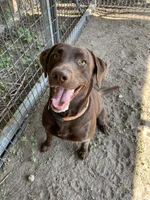 processed/b09bc342-25e2-4b97-985b-1f6e05dafde3/facility/ee24e02f-6476-4535-993b-54b2e729d6cd