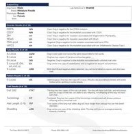 Nixie, a female Poodle - Miniature  for sale in Pocola, OK – Photo 2 of 2