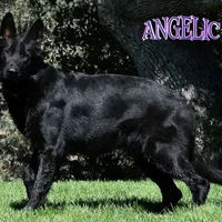 processed/b0a4e330-5be1-4fd0-9098-e6bd1f90fcd6/facility/4beec018-65c8-403b-8309-3abdebe24c05