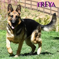 processed/b0a4e330-5be1-4fd0-9098-e6bd1f90fcd6/facility/5c933ced-3f53-4cbb-9c7e-6db803f00ca8