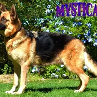 processed/b0a4e330-5be1-4fd0-9098-e6bd1f90fcd6/facility/675839c3-d1cb-4539-97e6-1de1c6f035a2