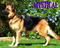 processed/b0a4e330-5be1-4fd0-9098-e6bd1f90fcd6/facility/675839c3-d1cb-4539-97e6-1de1c6f035a2