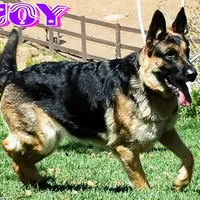 processed/b0a4e330-5be1-4fd0-9098-e6bd1f90fcd6/facility/801c7c57-f987-4cf6-9a1f-d6401b0f4873