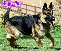 processed/b0a4e330-5be1-4fd0-9098-e6bd1f90fcd6/facility/801c7c57-f987-4cf6-9a1f-d6401b0f4873