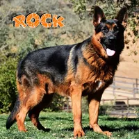 processed/b0a4e330-5be1-4fd0-9098-e6bd1f90fcd6/facility/a33e0808-fa7f-4a71-ab1a-5f54bf15dc89